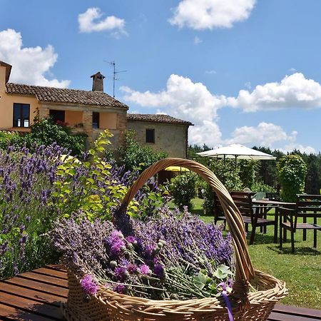 Agriturismo Monterosello 치타디카스텔로 외부 사진