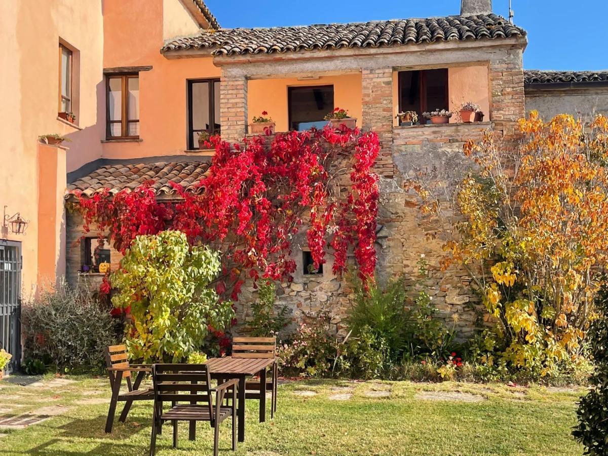 Agriturismo Monterosello 치타디카스텔로 외부 사진