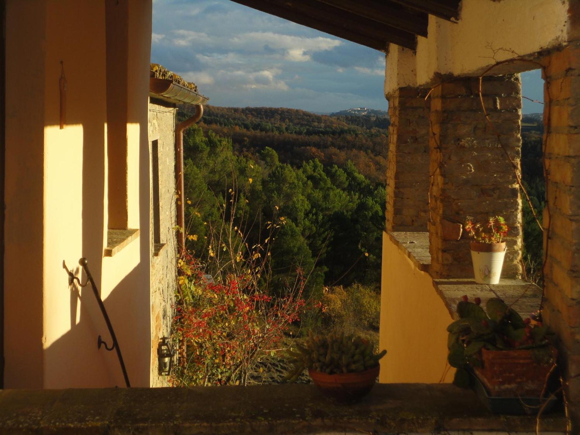 Agriturismo Monterosello 치타디카스텔로 외부 사진